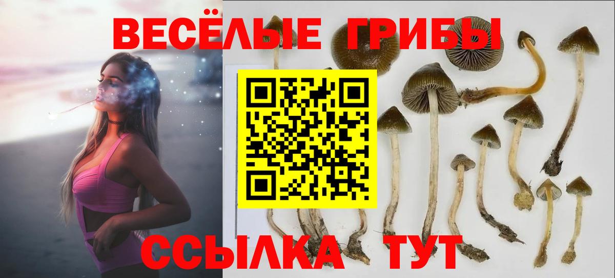 Галлюциногенные грибы мицелий Острогожск